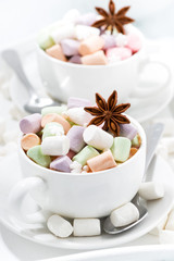 Fototapeta na wymiar cocoa with colorful marshmallows and spices in cups, vertical 