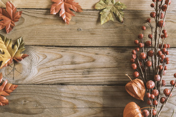 Autumn plants on wooden background