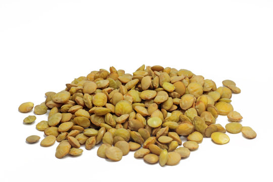 Linsenk&ouml;rner (Lens culinaris) 