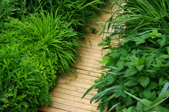 Chemin de bois dans un jardin