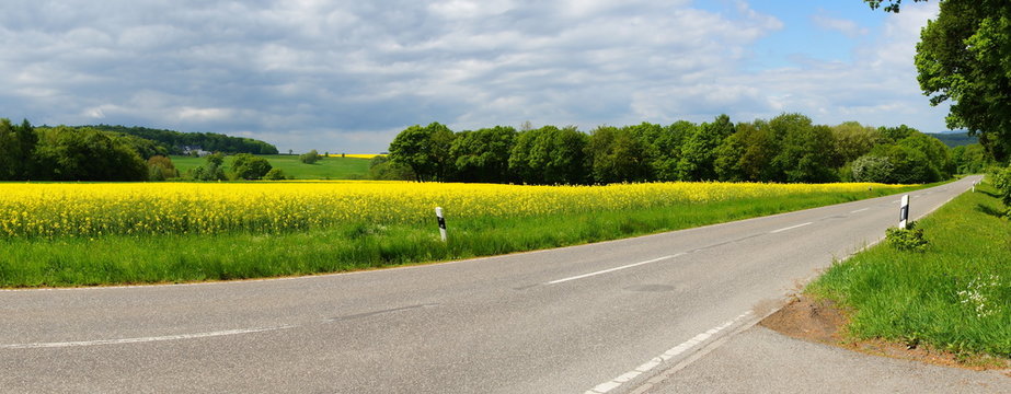 Wald, Rapsfeld und Stra&szlig;e im Fr&uuml;hling im Hunsr&uuml;ck Panorama

