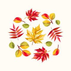Autumn composition. Colorful leaves of maple, rowan and aspen.