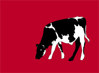 Portrait big black and white cow vector