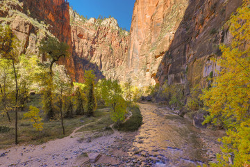 Zion in Fall