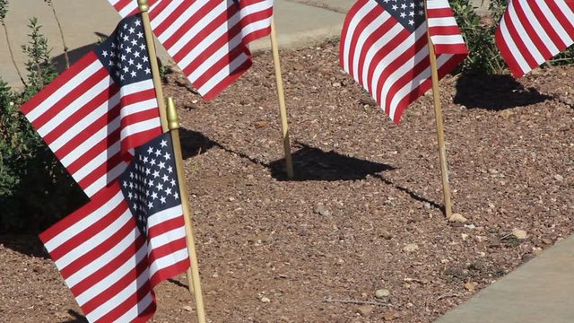 Small American Flags in ground waiving