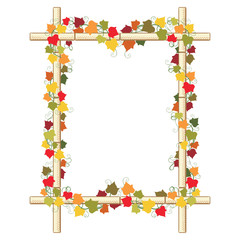 Autumn composition. Border from bamboo and colorful leaves of ivy.