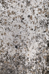 Stained concrete floor