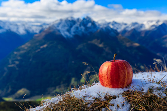 Fresh Apple