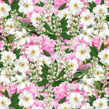 Beautiful floral background with peonies, daffodils and lupins 