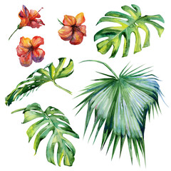 Watercolor illustration set of tropical leaves, dense jungle. Hand painted. Banner with tropic summertime motif may be used as background texture, wrapping paper, textile or wallpaper design