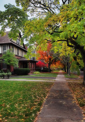 sidewalk in autumn © debramillet