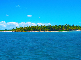 Tropical beach in caribbean sea, Saona island, Dominican Republic