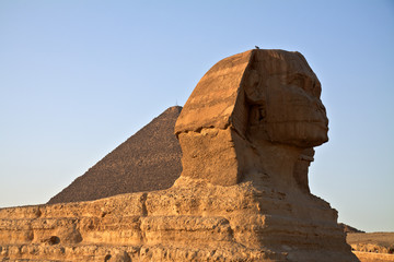 sphinx