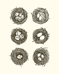 Hand drawn nests illustration