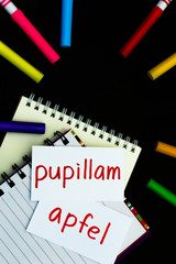 Latin and German; Learning New Language with Handwritten Flash C