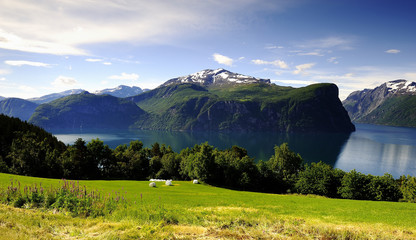 Naklejka premium Summer snow on the mountain tops