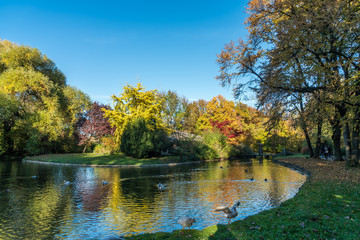 Herbst in München - Englischer Garten