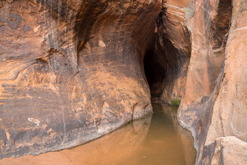 Zebra and Tunnel Slot Canyons in Utah