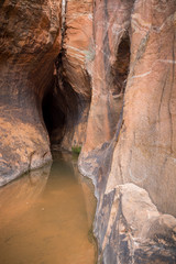 Zebra and Tunnel Slot Canyons in Utah