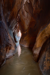 Zebra and Tunnel Slot Canyons in Utah