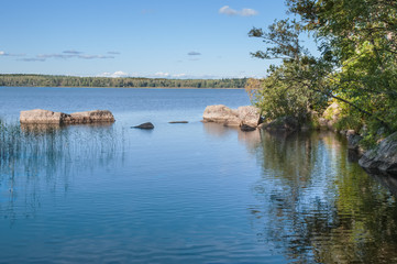 Fototapeta premium A small area of reeds in the water, a shore with stones and hanging branches of trees
