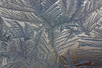 winter pattern of ice crystals on glass