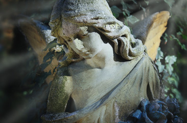 angel (Cemetary architectures - Europe)