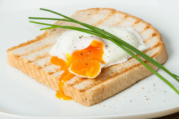 Poached Egg On Toast With Chives And Spices. White Plate