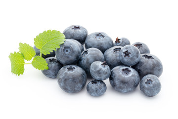 Close up of a blueberry branch isolated over white.