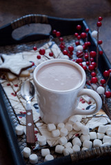 Hot chocolate with marshmallows at Christmas Time