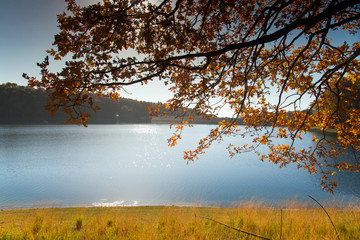 Herbstliches Laub vor Talsperre
