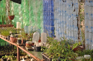 plastic bottles used as alternative insulation for a greenhouse in Argentina