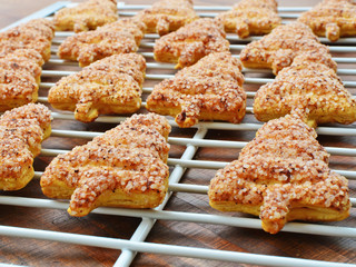 Fir tree shaped cookies for Christmas on wire rack.  Shortcrust biscuits with cinnamon and sugar.