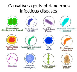 Bacteria and viruses are defiant dangerous infectious diseases on a white background