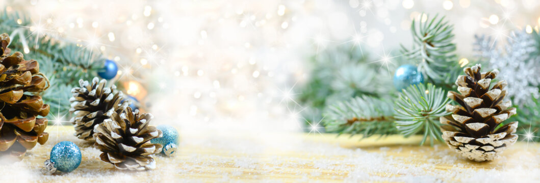 Winter - Weihnachten - Panorama mit Pinienzapfen
