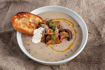 Mushroom soup with crouton and sour cream, olive oil