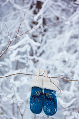 Kids mittens and gloves hanging on a branch in winter forest