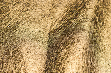 Abstract - close up of silver fiber fabric texture