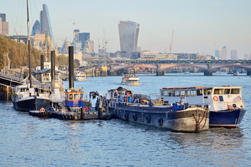 River Thames, London - obrazy, fototapety, plakaty