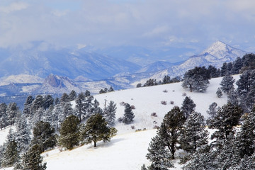 Fresh Snow on the Mosquito Range