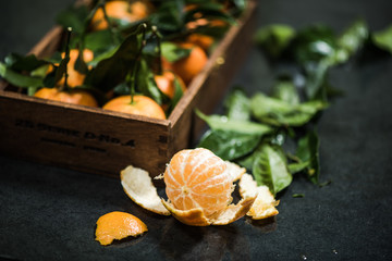 hand picked ripe tangerines
