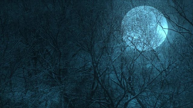 A huge moon through the trees over a precipice