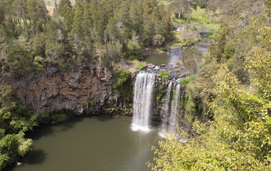 Fototapeta na wymiar Dangar waterfall in Dorrigo national park NSW , Australia