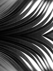 Obraz premium curled in a roll black paper ribbon. Macro lens closeup shot 1:1