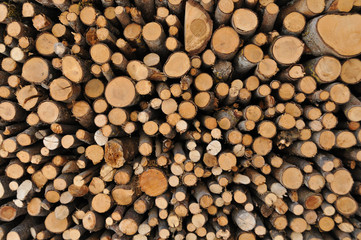 Äste aus Holz aufeinander geschichtet