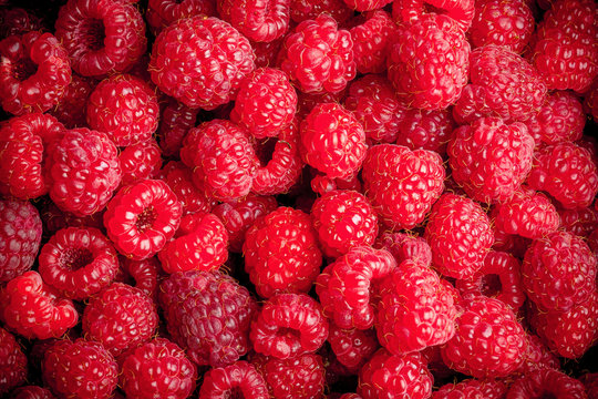 Fresh raspberries fruit closeup background