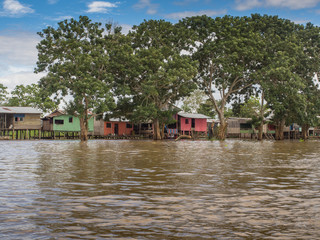 Obraz premium Amazon River