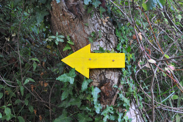 Gelber Pfeil aus Holz an Baum am Jakobsweg