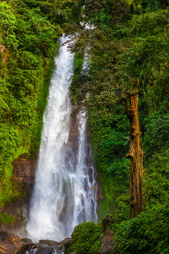 Gitgit Waterfall - Bali island Indonesia