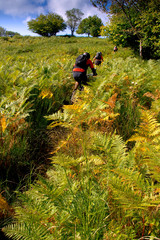 Three Limentre, Pistoia, Tuscany - Riding mountain bike